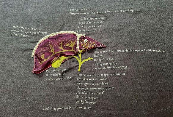A red & purple organza liver embroidery on grey linen. The biliary system between the 2 layers is bilious green with yellow beads inside the small lobe. White beads sit on the narrow end of the top organza. An arched T shape with tight white crisscross stitches separates the lobes and curves over the top. Text stitched in light grey single strands read: What roots grow in us. Branch through our landscapes. In love plexuses. a curvature borne. between what is held & what must be held carefully. fleshy beasts tethered. By fluid and ligaments. Such a gentle embrace. Beneath our skin. Here is the thing I broke & then repaired with brightness. Laid open. The spells it holds. A language spoken. Between boughs & flesh. this golden ingot. This tailed beast. And its viscous song. What a miracle these spaces within us. Are what make us whole. What offertory our bodies. The proper invocation of flesh. Placed on the ground. Hosts on tongues. Fleshy language. Each thing precious in its own decay.