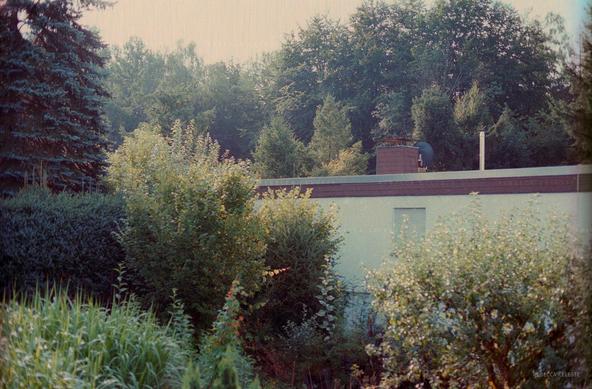 Photo of a house surrounded by trees.