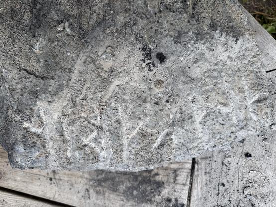A stone with some runes carved into it.