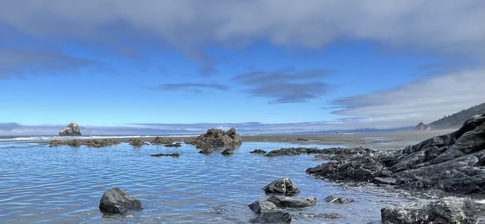 Saturday morning in one of the coastal sections of Redwood National and State Parks. In conjunction with the recent new moon, water heights associated with low tides exposed interesting rocks and provided different viewpoints to enjoy the coastal features. This image includes a selection of onshore and nearshore rocks, a sweeping section of beach, a distant point, and the green forested  slopes that rise above the beach. The water in the foreground is calm and blue. In the distance, white waves break onto the sandy shore. The sky has a variety of cloud types, but is generally colored deep blue, fading to light blue on the far horizon.