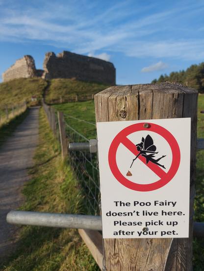 EN: In the background, you can see Castle Roy, which appears to have a square floor plan and a path leading up to the corner closest to us. Directly in front of us, a white sign hangs on a post, depicting a flying fairy picking up a pile of poo with a stick. The whole thing is crossed out with a prohibition circle. Underneath it says, ‘The Poo Fairy doesn't live here. Please pick up after your pet.’

DE: Im Hintergrund ist das Castle Roy zu sehen, welches einen gefühlt quadratischen Grundriss besitzt und zu der Ecke, die uns am nächsten ist, ein Weg hinauf geht. Direkt vor uns hängt an einem Pfosten ein weißes Schild hängt, auf dem eine fliegende Fee abgebildet ist, die mit einem Stock einen Kothaufen aufpickt. Das Ganze ist von einem Verbotskreis durchgestrichen. Darunter steht "The Poo Fairy doesn't live hiere. Please pick up after your pet." (sinngemäß "Die Hundehaufen-Fee wohnt hier nicht. Bitte räumen Sie die Hinterlassenschaften selber weg.")