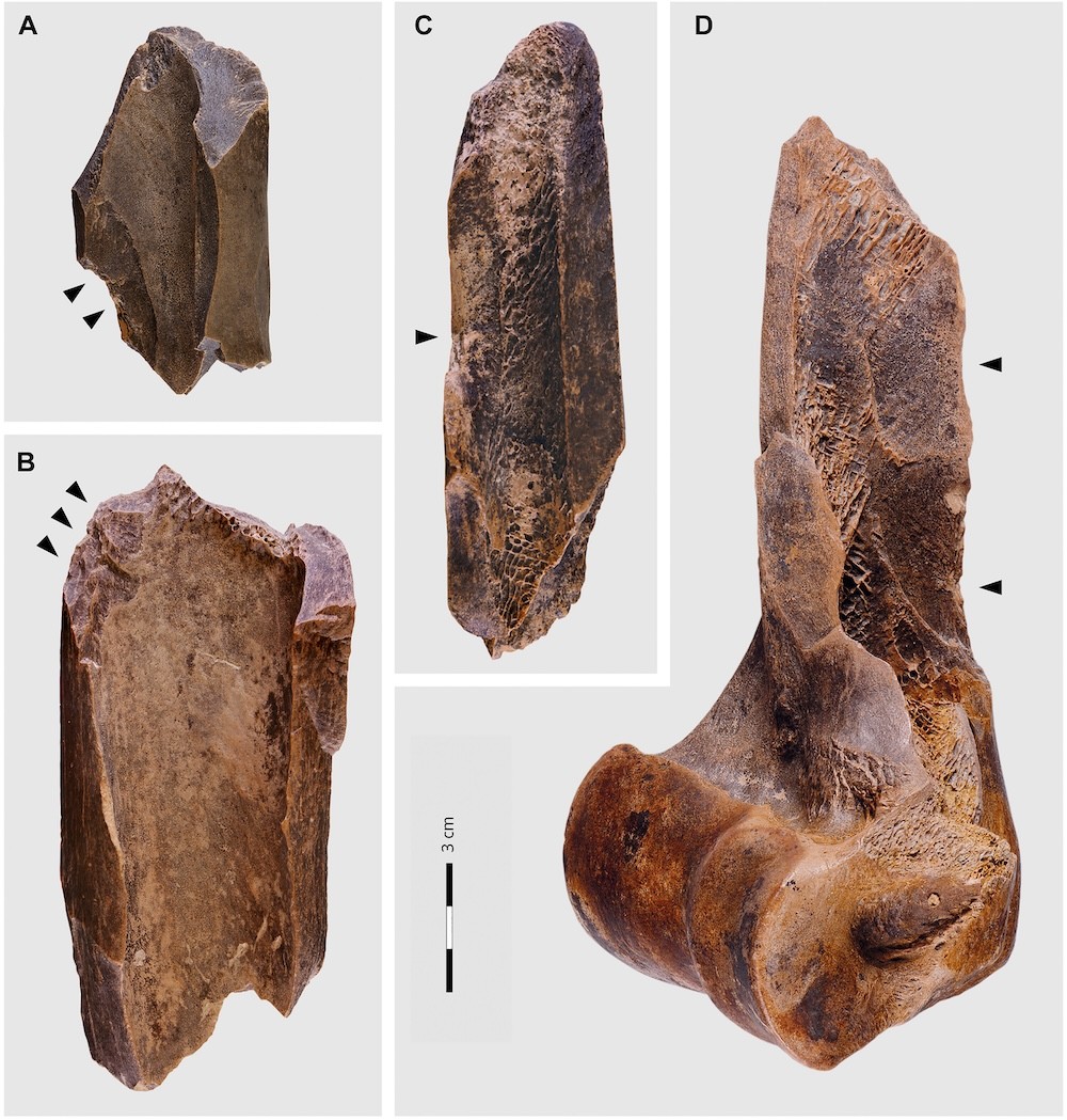 shattered bones from a Neandertal bone grease production site