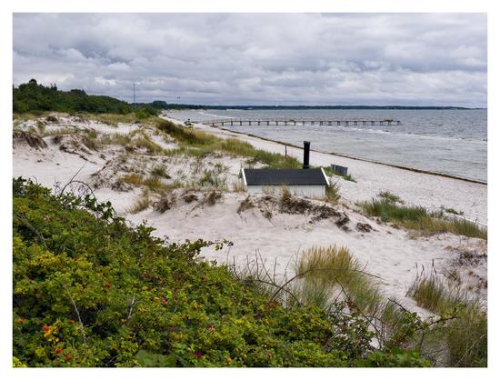 En liggande bild på en sandstrand tagen lite ovanifrån vid nyponbuskar. En bit ner ligger en liten vit byggnad, längre bort sticker en brygga ut i havet. Himmelen är gråblå molnig.