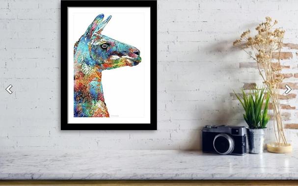 Colorful llama painting on crisp white in a black frame by artist Sharon Cummings.