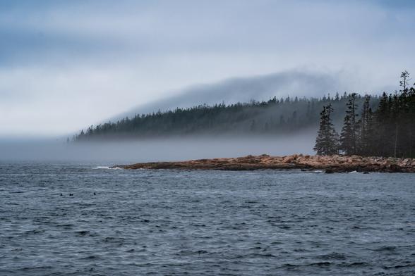 Looking west from Ship Harbor, the coastline and forest is lost in the fog.
© Tom Goetz. All rights reserved. Training an AI on this image is expressly forbidden.