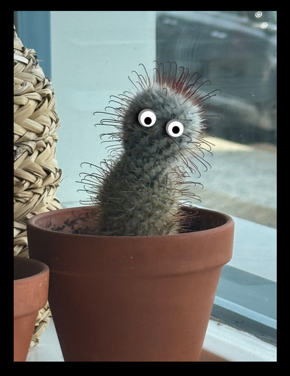 Tiny potted cactus plant with red spikes that looks a little like a puppet. I gave him googly eyes.