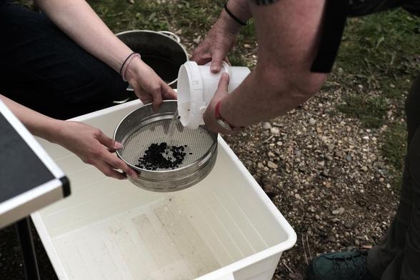 Eine Person hält ein rundes Sieb über eine Wanne. In dem Sieb sind dunkle Körner zu sehen. Eine zweite Person gießt Wasser aus einem kleinen Eimer in das Sieb. Von den Personen sind nur Arme und Hände zu sehen.