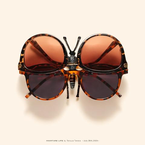Insektenkörper (vermutlich aus Plastik), über dem zwei Sonnenbrillen so platziert wurden, dass sie wie die Flügel des Insekts aussehen.