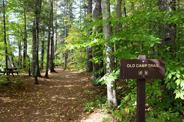 A path in a forest, filled with trees. To the left there is a picnic table, and a hint of a body of water. To the right is a wooden sign that reads, "Old Camp Trail."