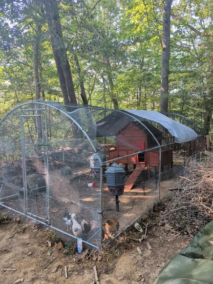 A chicken run with a chicken coop inside