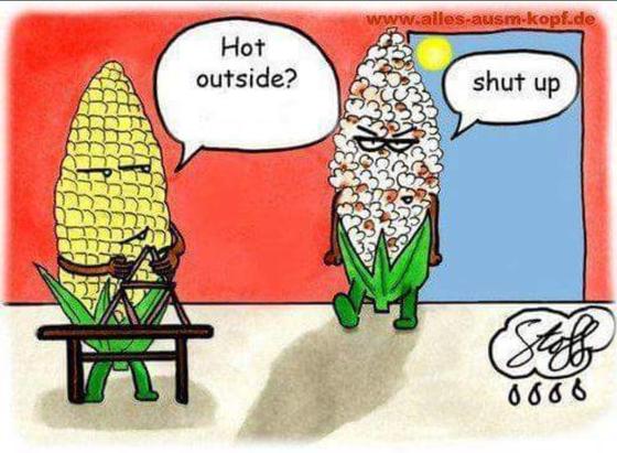 Comic with two cobs of corn. One has white kernels and is just entering a room. The other is inside the room and its kernels are very yellow. The one inside asks the one walking in the door if it is hot outside. 

The cob in the doorway is covered in popped corn kernels. He is frowning when he says, "Shut up."

Credits: 
www.alles-ausm-kopf.de