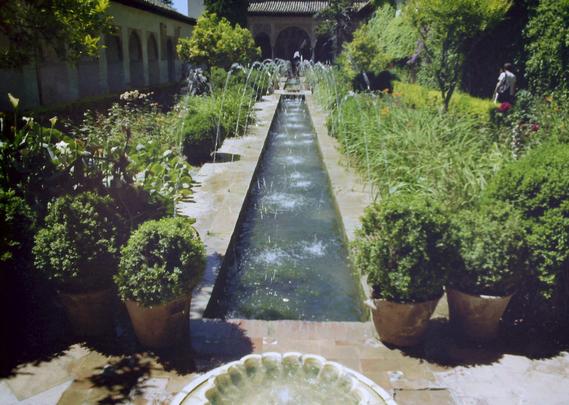 A long, narrow water feature, with multiple fountain sprays.