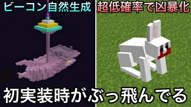 【マイクラ】実装後に一瞬で削除された謎すぎる要素9選.. 〜実は全く違った昔の仕様・要素が消されて当然すぎる～【マインクラフト】【まいくら】【雑学】【豆知識】