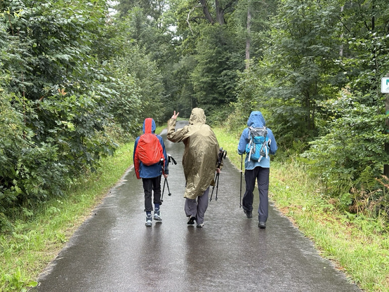 Three persons in rain gear on a rainy road in the woods photographed from behind