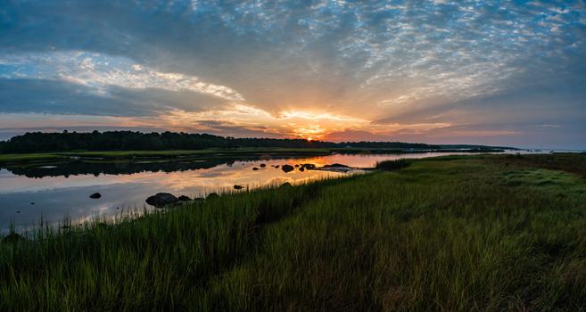 The sun is rising over Mark's Cove as viewed across the saltmarsh. The sunrise is reflected in the water.