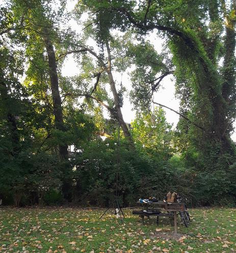 Buddipole Vertical Antenna