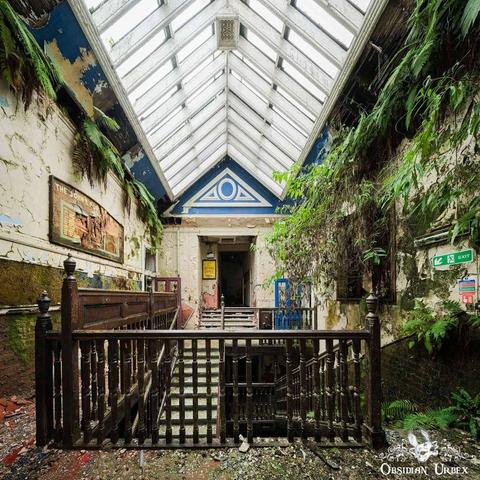 atrium of abandoned school, ferns grow everywhere