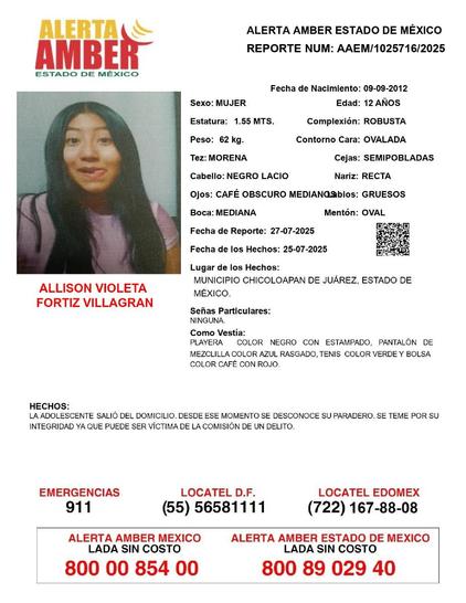 allison violeta fortiz villagran