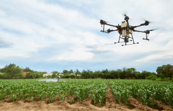 Dron en campo