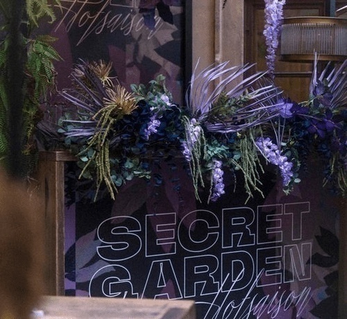 Star Saturday- Katze Katze