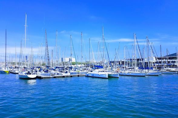 A vibrant photograph of a bustling marina under a clear, brilliant blue sky. Numerous white sailboats and yachts of varying sizes are neatly docked in rows on the calm, deep blue water. The masts and rigging of the boats reach high into the sky, creating a dense pattern. In the background, buildings of a city or port are visible, with some modern structures. The water reflects the sunlight, showing ripples and a sense of depth.