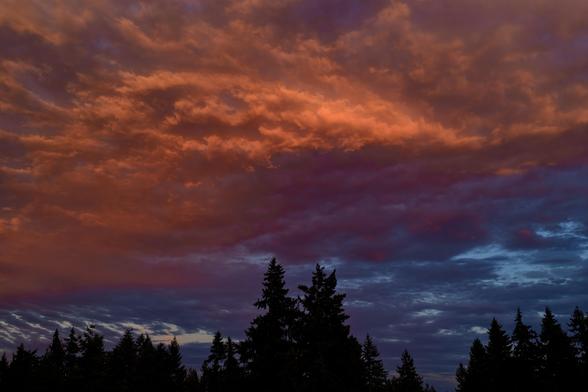 Shot of a partly cloudy sky, looking east from the sunset, with the foreground clouds intense orange, shading into purple, with clouds further back a deeper blue against the bright sky behind them.