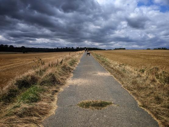 A low-angle, wide shot shows a narrow asphalt path stretching into the distance between two vast fields of golden-brown, dried crops under a dramatic, cloudy sky. The path has some patches of grass growing through cracks and is flanked by tall, dry grasses. In the far distance, a few blurred figures, possibly people and a dog, can be seen walking along the path. A dark line of trees or woodland is visible on the horizon to the left, beneath the heavy grey and white clouds. The overall impression is one of a rural landscape on a somewhat overcast day.