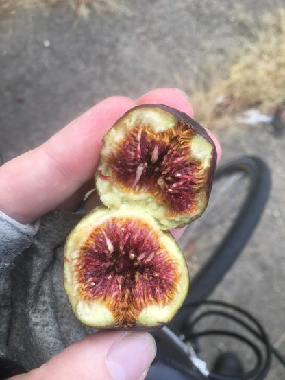 A fig ripped in half, showing its maroon pulp.