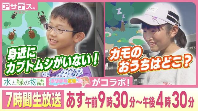 真夏の虫採り大作戦！おとな26人でカモのおうち大捜索！【アサデス】【あります企画】