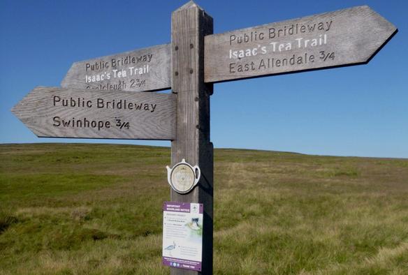 A wooden three-way fingerpost sign, somewhere on Isaac's Tea Trail, which is highlighted in two directions (either towards East Allendale or Coalcleugh), with a third finger pointing towards Swinhope. On the post below the fingers, a teapot-styled saucer has been attached. Below that is an informational sign about the moorland. In the background is open grassland and a blue sky.