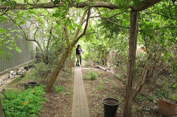 Alara_Permaculture_Forest_Garden_-_geograph.org.uk_-_6184172