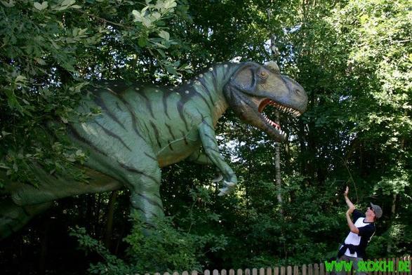 Meine Wenigkeit hebt schützend die Hände als mich ein grün-schwarz gestreifter Dinosaurier (Modell aus Plastik) attackiert.