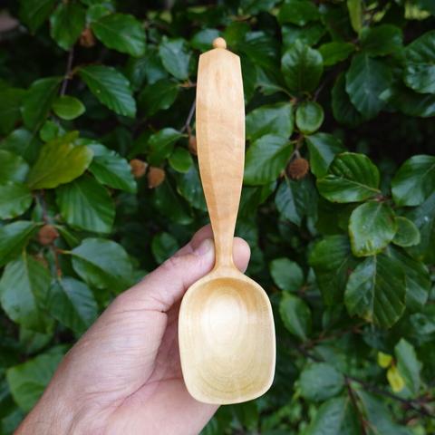 Front of wooden spoon held with leaves in the background