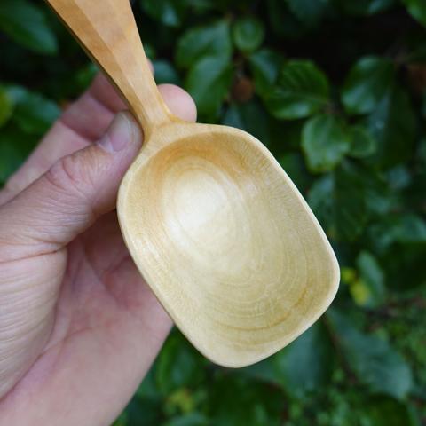 Bowl of wooden spoon held with leaves in the background