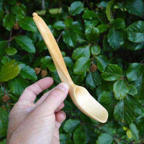 Side of wooden spoon held with leaves in the background