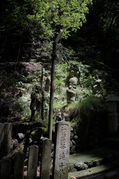 Photograph in the portrait format of mossy Buddhist statues and fern plants on a forested slope, under a sunlight patch.