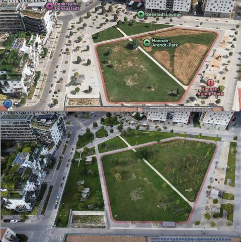 Das Bild besteht aus Zwei Teilen: Im Oberen ist ein Schrägluftbild vom Hannah-Arendt-Park im Sommer 2024, im unteren eins von Juli 2025. Im Oberen sieht man den Hannah-Arendt Park vor dem Umbau, man erkennt gut wie er von einer großen Fläche Staub und Asphalt umgeben ist. Im Park selber sieht man gut dass die Naturwiesenbereiche erst vor kurzem gemäht wurden und daher sehr braun sind. Im unteren Bild sind die meisten Asphaltflächen Wiese gewichen. Auch stehen im Bereich der Naturwiese am Hügel viele neue Bäume. Der Kinderspielplatz am Rande des Parks ist nun nichtmehr vollständig von Staub und Asphalt umgeben.