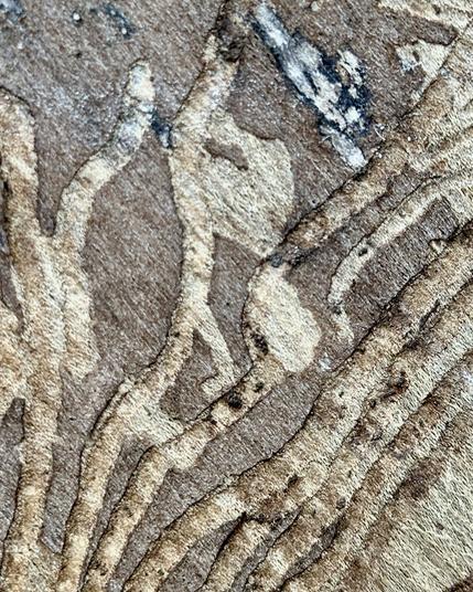 Zufällige Figur auf rindenlosen Baumstamm, wie Katze?