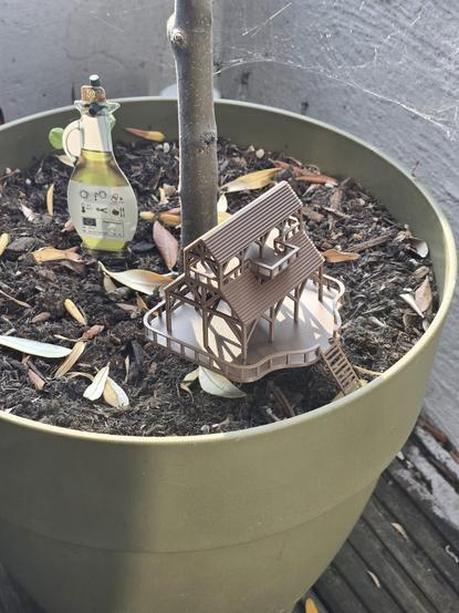 The assembled treehouse in the olive tree planter