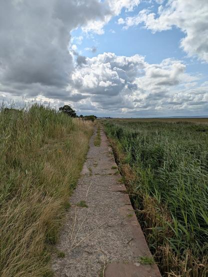 A narrow stone path winds through tall grass beneath a partly cloudy sky.
