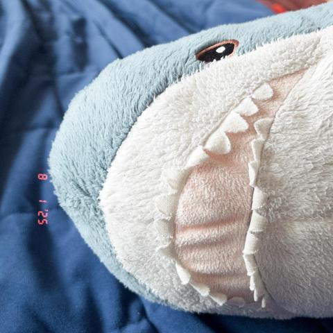English: A close-up of a plush blåhaj resting on a blue blanket. The shark features soft textures, a white underbelly, and a friendly expression.

Deutsch: Nahaufnahme eines Plüsch-Blåhaj, der auf einer blauen Decke liegt. Er hat weiches blaues „Fell“, einen weißen Bauch und einen freundlichen Gesichtsausdruck.
