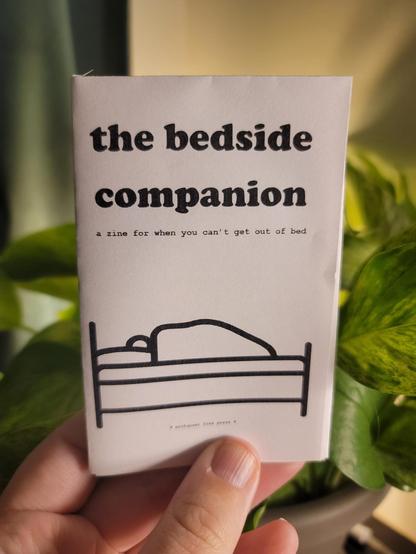a white hand holding up a minizine in front of a backlit pothos. the minizine is called "the bedside companion".