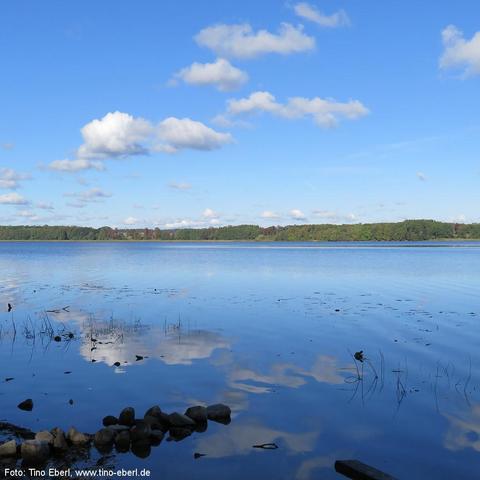 Weitläufiger See mit spiegelglatter Wasseroberfläche, auf der sich vereinzelte Wolken und der blaue Himmel deutlich abzeichnen. Am unteren Bildrand liegen kleine, runde Steine und wenige Schilfhalme ragen aus dem Wasser. In der Ferne verläuft eine flache, bewaldete Uferlinie mit dichten, grünen Baumreihen.