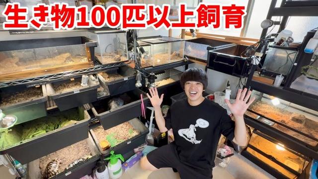【リグガメ40匹以上】トカゲ！ヘビ！オシキャット？珍しい生き物をたくさん飼うお宅に訪問してみた