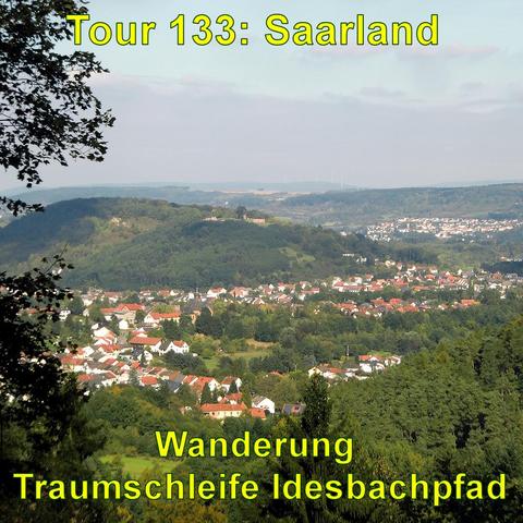 Eine Aussicht auf ein Tal mit einem Dorf oder einer Kleinstadt, umgeben von bewaldeten Hügeln. Die Häuser haben überwiegend rote Dächer, die sich von dem Grün der Bäume abheben. Im Hintergrund sind weitere Hügel zu sehen, auf denen teilweise Windkraftanlagen stehen. Ein Baum am linken Bildrand rahmt die Szene. Der Himmel ist leicht bewölkt.