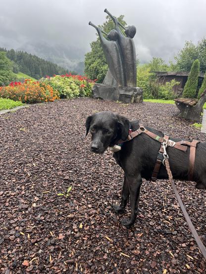 Das Bild zeigt einen schwarzen Hund mit einem braunen Halsriemen und einem Leinen, der auf einem bedeckten Weg mit Holzraspeln steht. Der Hund blickt direkt in die Kamera. Im Hintergrund befindet sich eine Skulptur von drei Figuren, die Trompeten spielen, und eine Blumenbeet mit bunten Blumen. Die Umgebung ist grün und üppig, mit Bäumen und einem bewölkten Himmel. Die Landschaft im Hintergrund zeigt bewaldete Hügel, die von Nebel umhüllt sind.

Bereitgestellt von @altbot, privat und lokal generiert mit Ovis2-8B

🌱 Energieverbrauch: 0.198 Wh