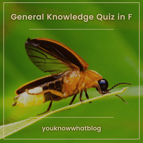 General Knowledge Quiz in F promotion post by youknnowwhatblog