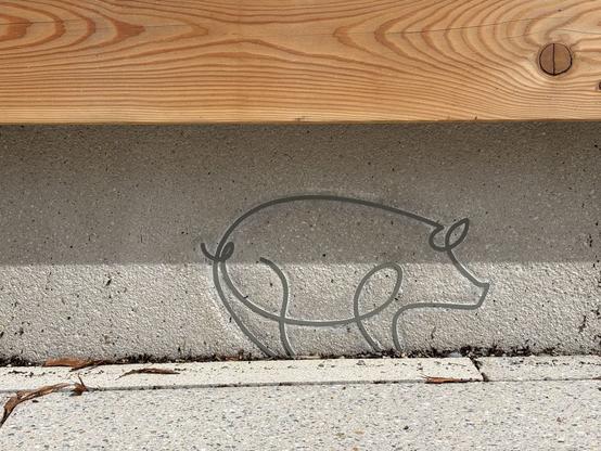 Die Kontur eines Schweins gezeichnet mit einer durchgehenden Linie auf dem Steinsockel einer Sitzbank. Darüber sieht man einen Teil der Sitzfläche aus Holz.