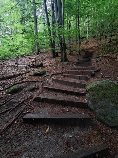 Stairs made of wood and dirt head off a bit to the right from the base of the photo, before winding left in the middle distance. There, it is blocked by the few scattering of trees that are growing next to the path from about halfway up. Closer to the observer the path is flanked by fallen leaves on either side, with some tree roots peaking through, and a large rock sitting next to the path on the right, close to the bottom of the frame.  Green shrubs and trees fill the top of the picture, beyond the stairway path. 
For my wifes birthday on Wednesday we went for a stroll in Saxony Switzerland. We had lunch at a nice restaurant while it absolutely pissed down raining. Fortunately, the weather cleared up enough for us to enjoy a nice walk after we finished our lunch.