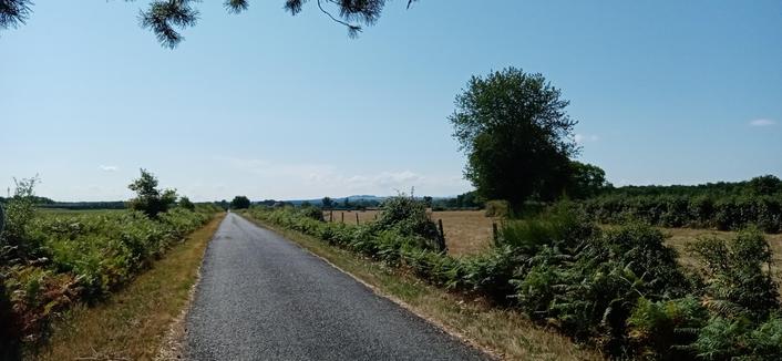 Une route goudronnée entre des prés. Au loin, le Puy Saint Ambroise